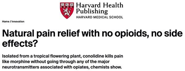 Natural Pain Relief With No Opioids, No Side Effects?