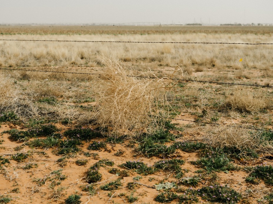 A tumbleweed is stuck in a wire fence in an open field 